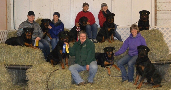 barnhuntfriends